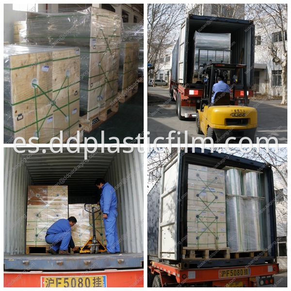 our PET film transportation